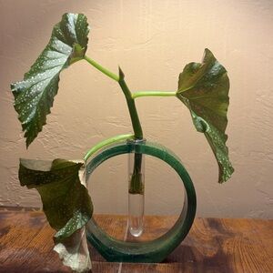 Plant Propogator Circular Plant Holder w/Tube | OS